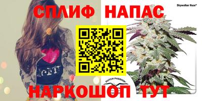 СК Ливны