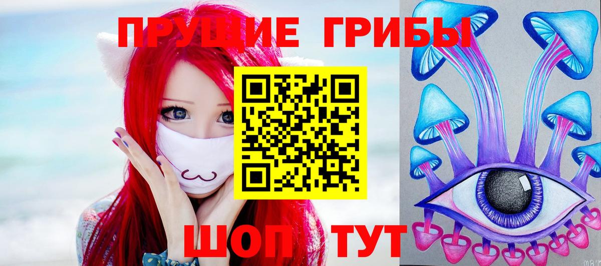 Галлюциногенные грибы Psilocybe  Вход с VPN  Жигулёвск 